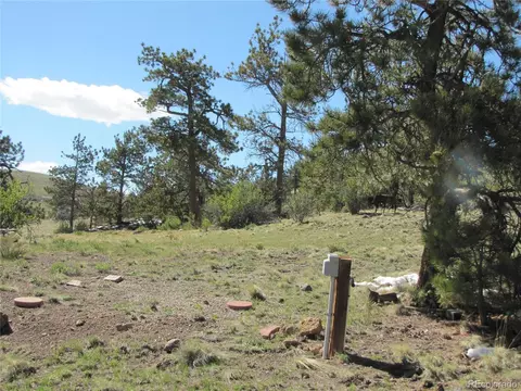 597 Forge Rd, Hartsel, CO 80449 photo 9