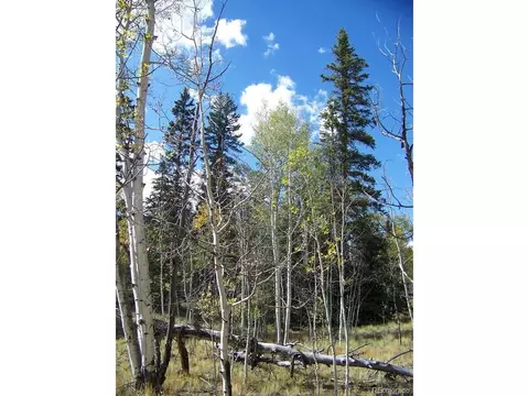 252 Arapahoe Cir, Como, CO 80432 photo 3