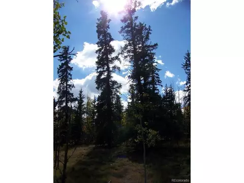 252 Arapahoe Cir, Como, CO 80432 photo 4