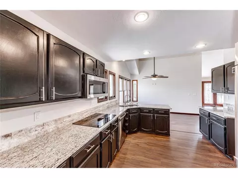 8062 Eagle Feather Way, Lone Tree, CO 80124 photo 20