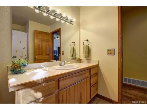 1021 Mockingbird Trl, Bailey, CO 80421 photo 22