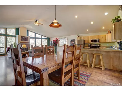1021 Mockingbird Trl, Bailey, CO 80421 photo 18