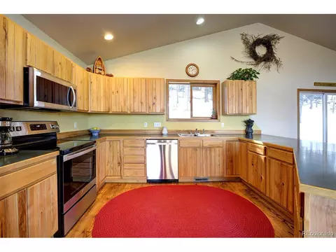 1021 Mockingbird Trl, Bailey, CO 80421 photo 11