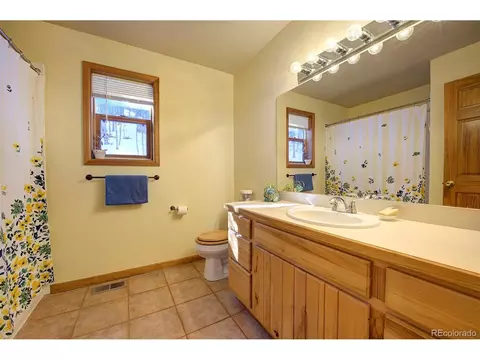 1021 Mockingbird Trl, Bailey, CO 80421 photo 21