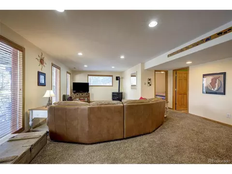 1021 Mockingbird Trl, Bailey, CO 80421 photo 26