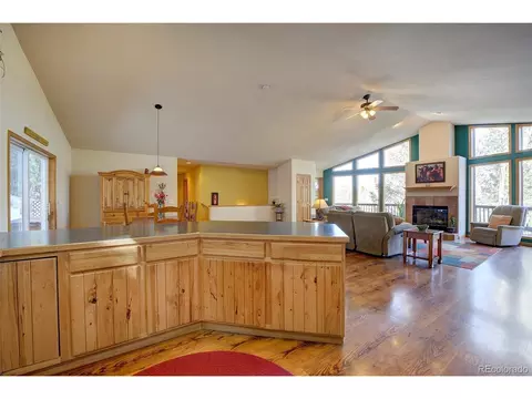 1021 Mockingbird Trl, Bailey, CO 80421 photo 12