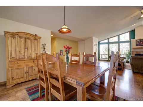 1021 Mockingbird Trl, Bailey, CO 80421 photo 19