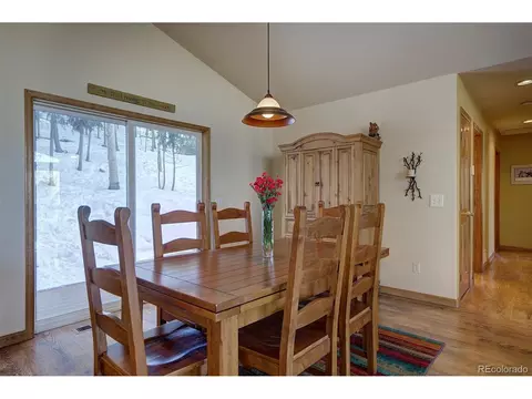 1021 Mockingbird Trl, Bailey, CO 80421 photo 16