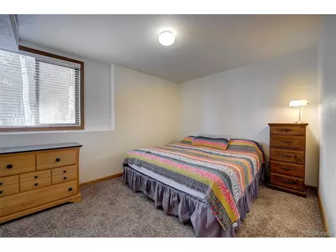 1021 Mockingbird Trl, Bailey, CO 80421 photo 32