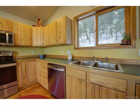 1021 Mockingbird Trl, Bailey, CO 80421 photo 14