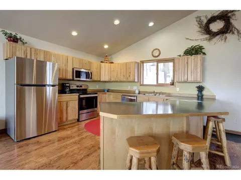 1021 Mockingbird Trl, Bailey, CO 80421 photo 9
