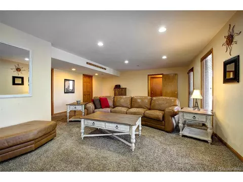1021 Mockingbird Trl, Bailey, CO 80421 photo 30