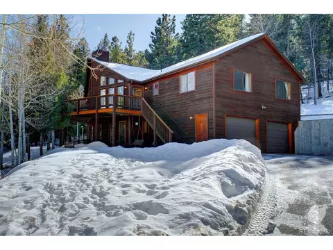 1021 Mockingbird Trl, Bailey, CO 80421 photo 2