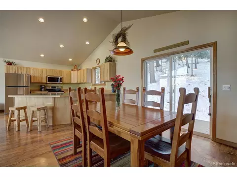 1021 Mockingbird Trl, Bailey, CO 80421 photo 17