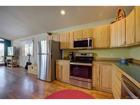 1021 Mockingbird Trl, Bailey, CO 80421 photo 13