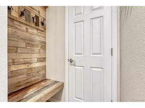 22178 E Stroll Ave, Parker, CO 80138 photo 28