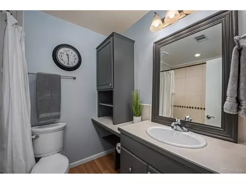 Bath - 2881 Springdale Ln, Boulder, CO 80303 photo 2 of 4