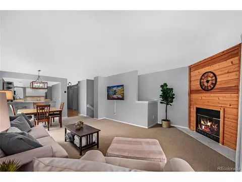 Living - 2881 Springdale Ln, Boulder, CO 80303 photo 3 of 3
