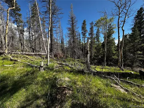 3260 Grojean Dr, Fort Garland, CO 81133