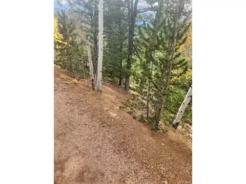 72 Hall Rd, Bailey, CO 80421 photo 4