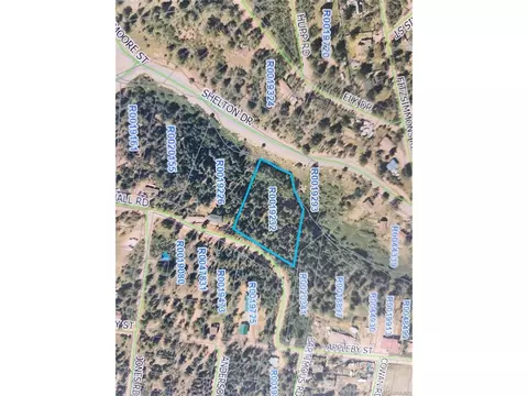 72 Hall Rd, Bailey, CO 80421
