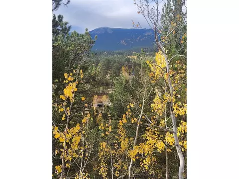 72 Hall Rd, Bailey, CO 80421 photo 2