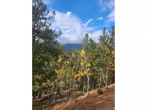 72 Hall Rd, Bailey, CO 80421 photo 7