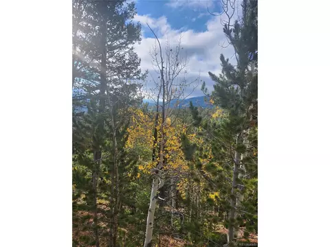72 Hall Rd, Bailey, CO 80421 photo 6