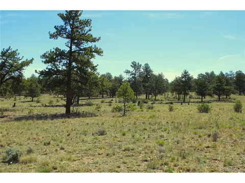 Undisclosed, Fairplay, CO 80440