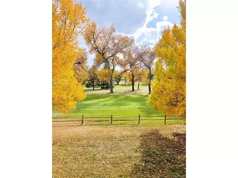 14248 E Hampden Ave, Aurora, CO 80014 photo 43