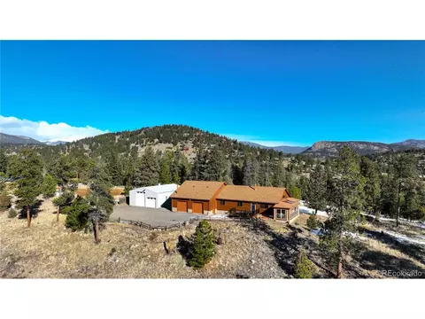 170 Hummingbird Ct, Bailey, CO 80421