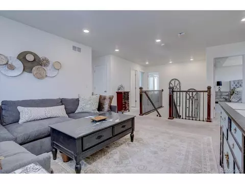 8760 Ginkgo Loop, Parker, CO 80134 photo 15