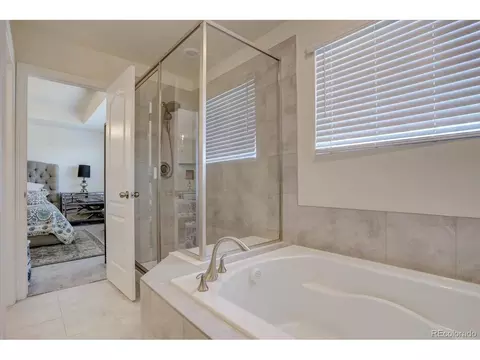 8760 Ginkgo Loop, Parker, CO 80134 photo 20