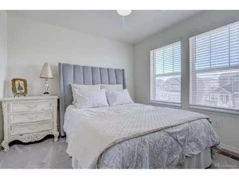 8760 Ginkgo Loop, Parker, CO 80134 photo 25
