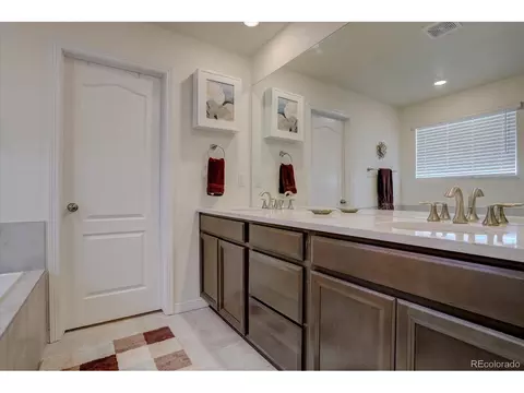 8760 Ginkgo Loop, Parker, CO 80134 photo 19