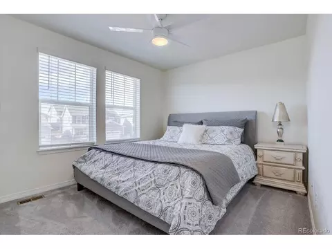 8760 Ginkgo Loop, Parker, CO 80134 photo 23