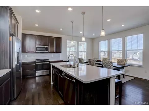 8760 Ginkgo Loop, Parker, CO 80134 photo 9