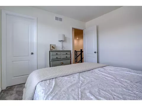 8760 Ginkgo Loop, Parker, CO 80134 photo 26