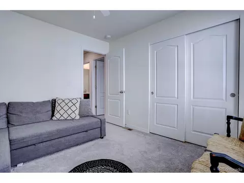8760 Ginkgo Loop, Parker, CO 80134 photo 21