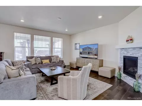 8760 Ginkgo Loop, Parker, CO 80134 photo 7