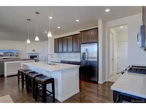 8760 Ginkgo Loop, Parker, CO 80134 photo 10