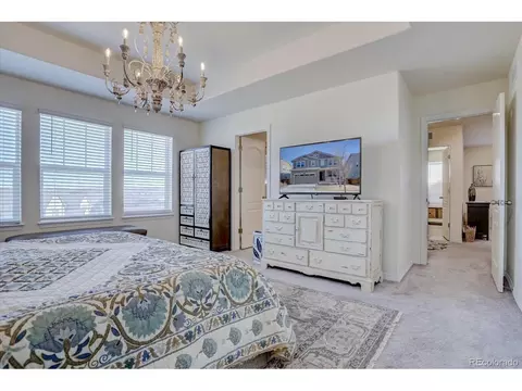 8760 Ginkgo Loop, Parker, CO 80134 photo 17