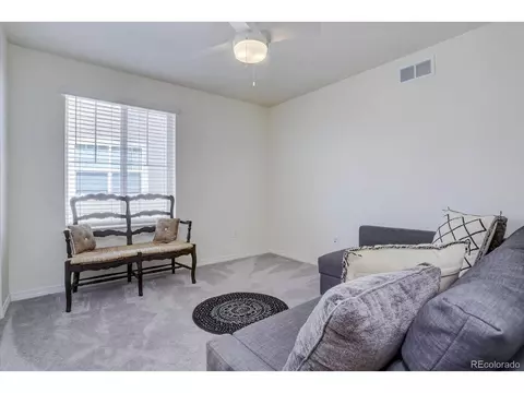 8760 Ginkgo Loop, Parker, CO 80134 photo 22