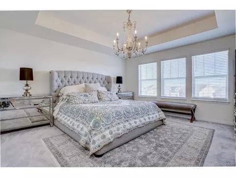 8760 Ginkgo Loop, Parker, CO 80134 photo 16