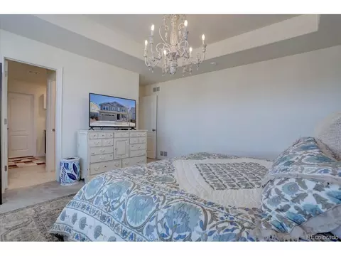 8760 Ginkgo Loop, Parker, CO 80134 photo 18