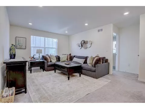 8760 Ginkgo Loop, Parker, CO 80134 photo 14
