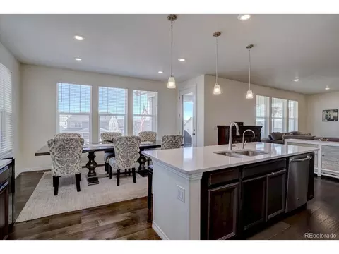 8760 Ginkgo Loop, Parker, CO 80134 photo 12