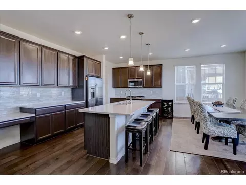 8760 Ginkgo Loop, Parker, CO 80134 photo 11