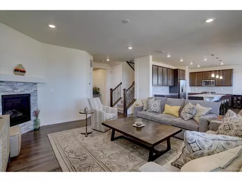 8760 Ginkgo Loop, Parker, CO 80134 photo 8