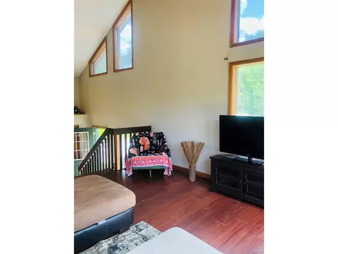 707 S Pine Dr, Bailey, CO 80421 photo 9